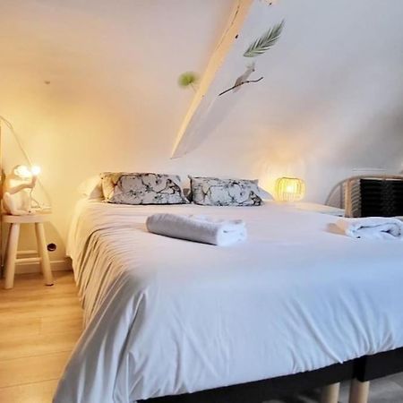 La Cabane - Petit Studio Mansarde - Plage 50M - Rue Gratuite 생말로 외부 사진