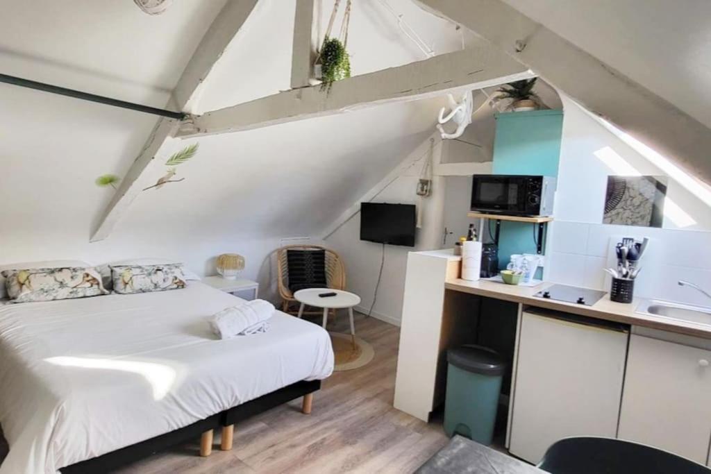 La Cabane - Petit Studio Mansarde - Plage 50M - Rue Gratuite 생말로 외부 사진